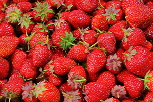 Fresas