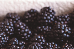 Moras