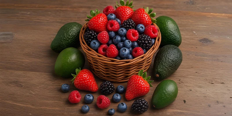 Calidad garantizada OJHA del Campo